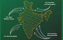 Screenshot 2026-02-08 162403