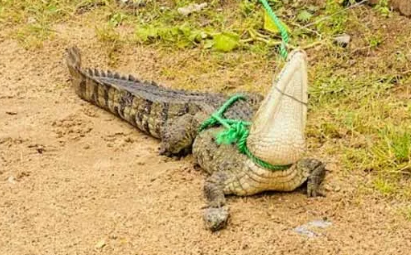 Screenshot 2026-02-27 091911