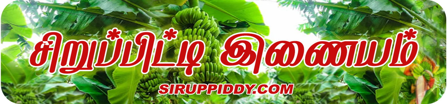 சிறுப்பிட்டி இணையம்