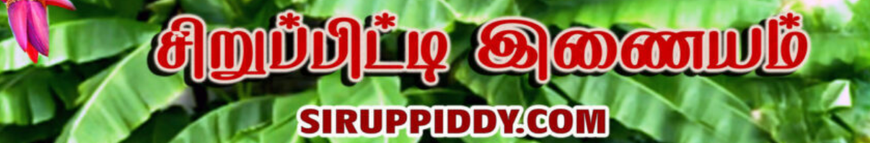  சிறுப்பிட்டி இணையம்